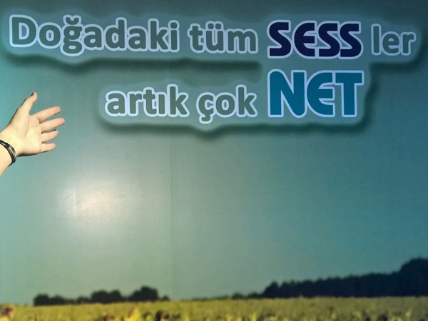 netsess işitme cihazları ofis